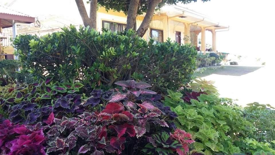 Seabreeze Beachfront Home And Cottages New Management سان خوان المظهر الخارجي الصورة