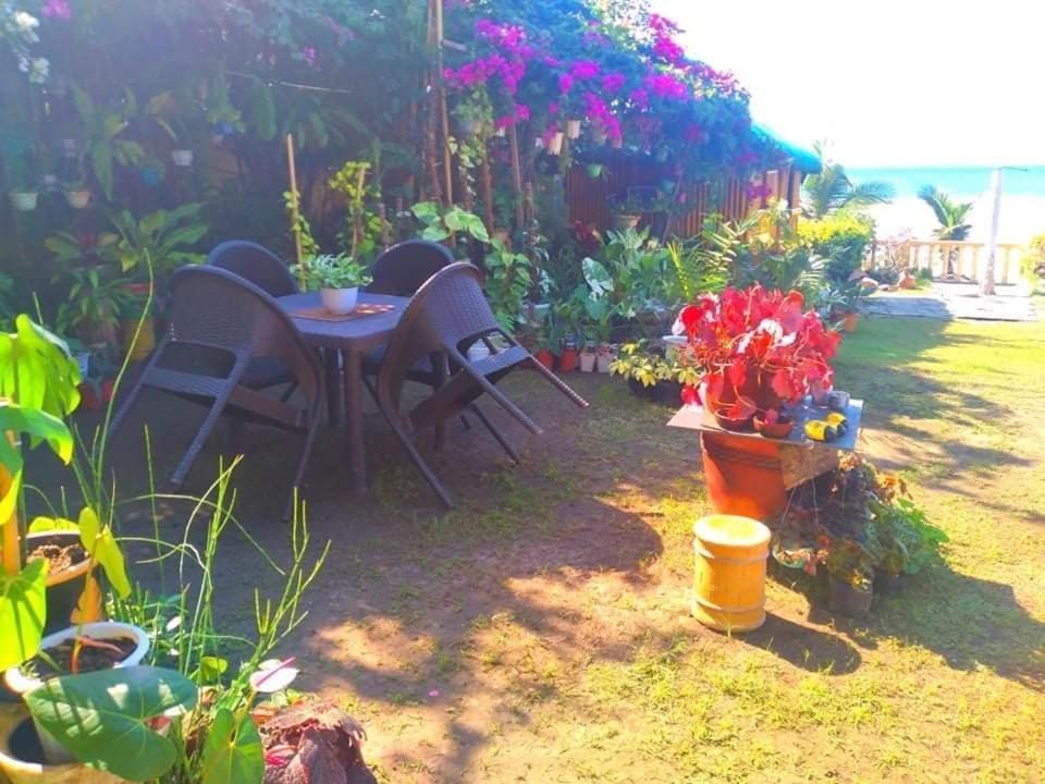Seabreeze Beachfront Home And Cottages New Management سان خوان المظهر الخارجي الصورة